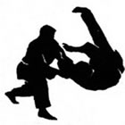 Hapkido no Centro - RJ