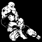 Jiu Jitsu no Centro - RJ
